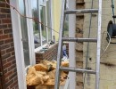 outbuilding conversion kitchen shower room croydon